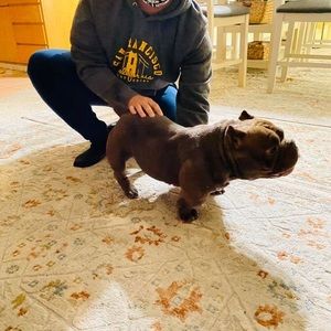 Meet your Posher, Richie